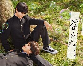 绥化seo查询是什么公司